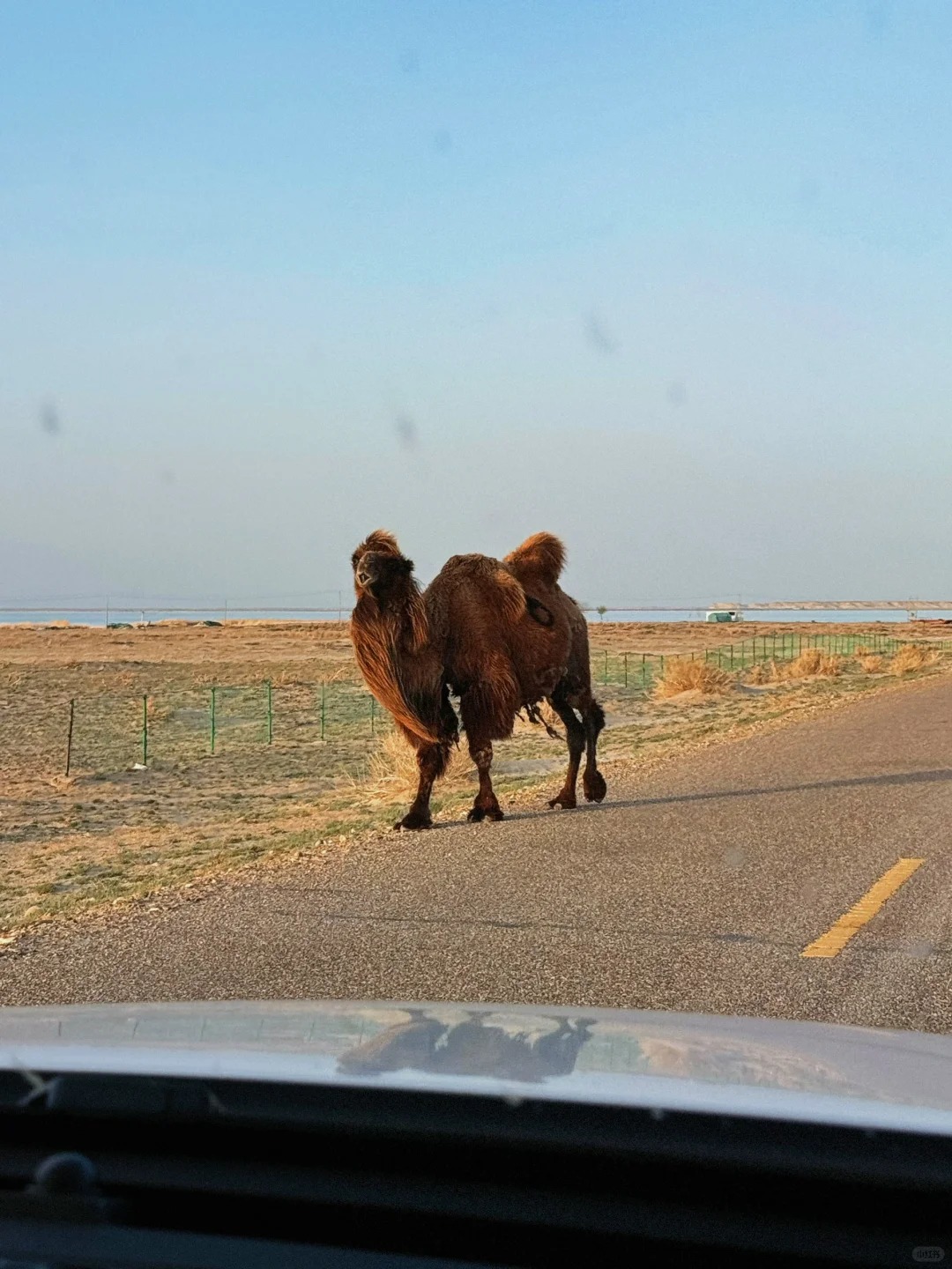 沙漠公路7|新疆旅游|新疆国旅|新疆旅行社|新疆地接|新疆跟团游 沙漠公路7|新疆旅游|新疆国旅|新疆旅行社|新疆地接|新疆跟团游