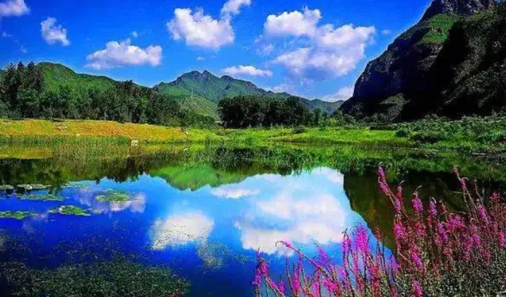 新疆跟团已回，教大家如何选团跟避雷！