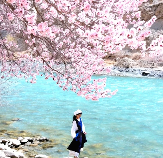 杏花村幸福5号桥|新疆旅游|新疆国旅|新疆旅行社|新疆地接|新疆跟团游
