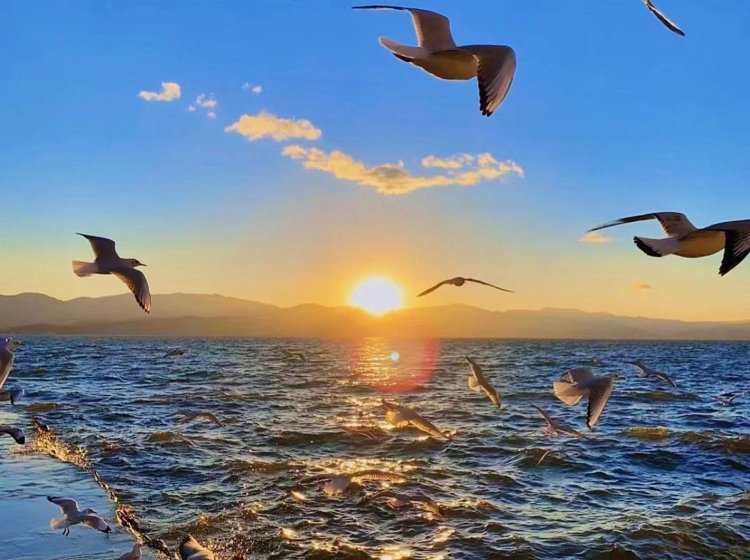 新疆旅行社哪家比较靠谱？