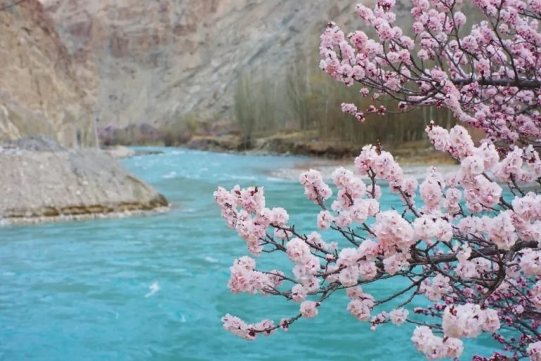 杏花村幸福5号桥