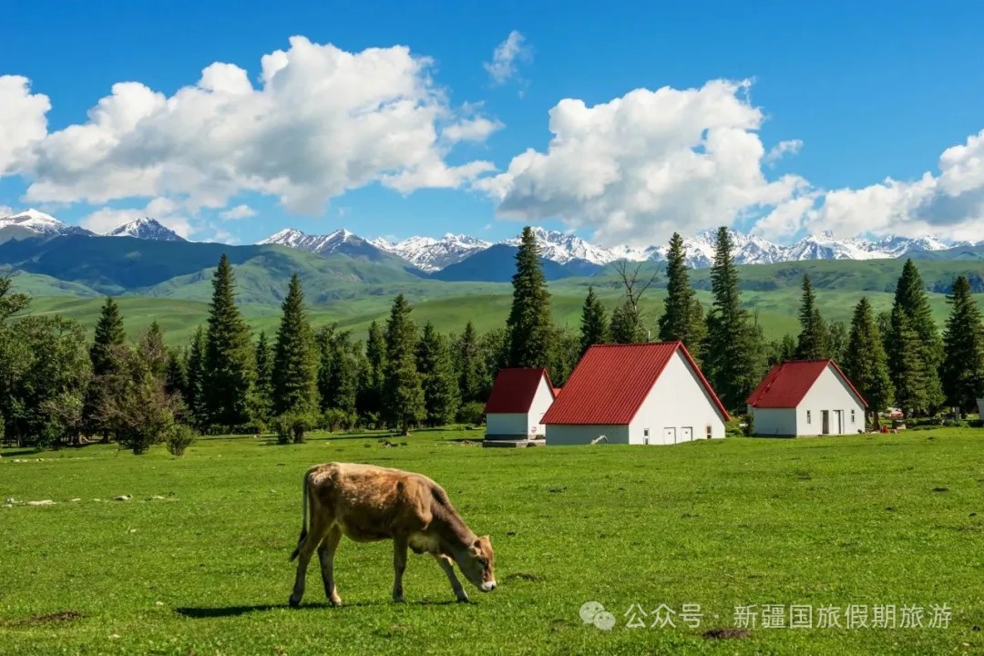 新疆旅游|新疆国旅|新疆旅行社|新疆地接|新疆跟团游