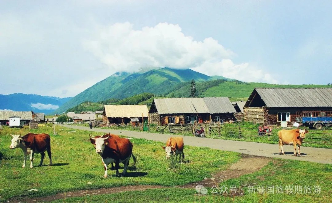 新疆旅游|新疆国旅|新疆旅行社|新疆地接|新疆跟团游