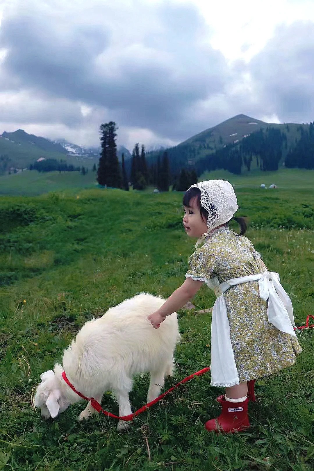 新疆口碑较好的旅行社都有哪些