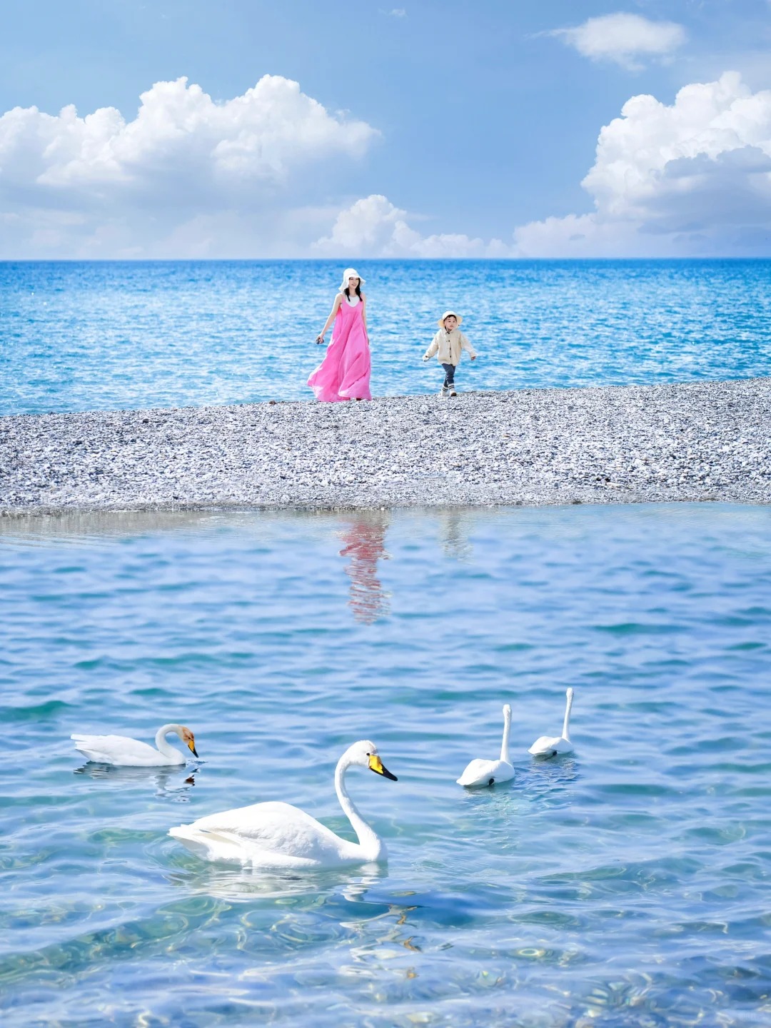 新疆旅行社哪个口碑好？