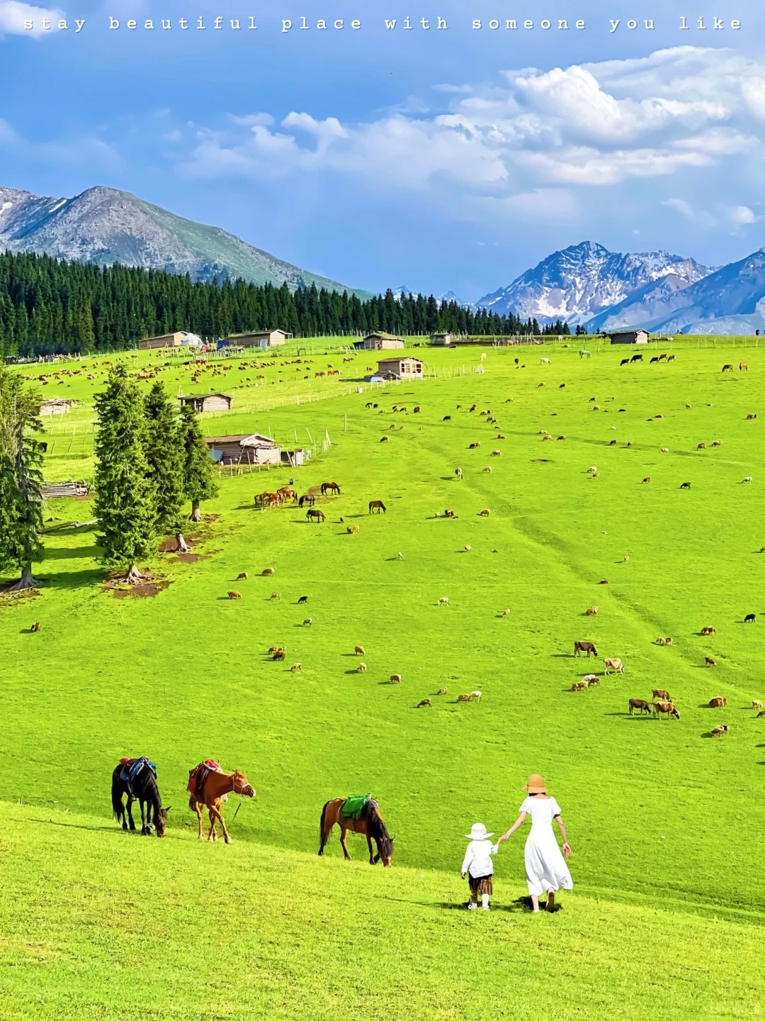 新疆9月天气怎么样？北疆南疆东疆西疆气候对比与旅游指南