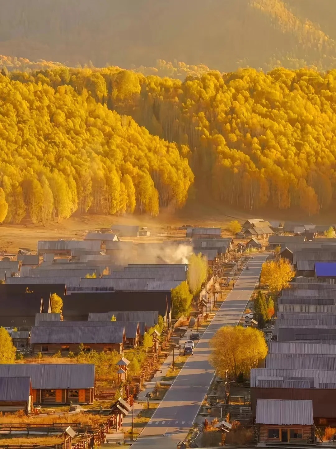 新疆秋季旅游攻略：金色北疆与南疆胡杨林终极指南