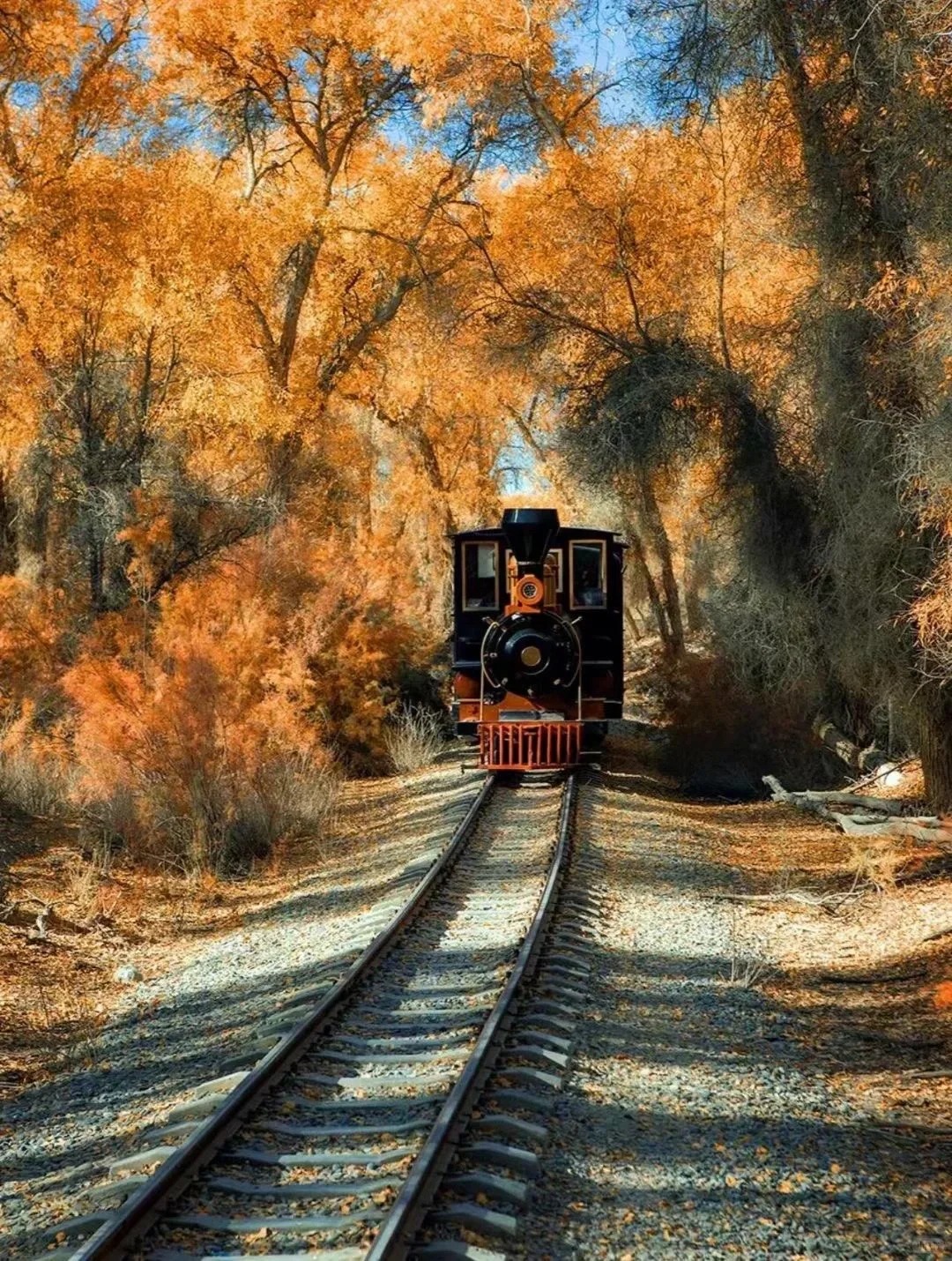 新疆8日游多少钱？2025北疆/南疆/东西横断线报价全解析