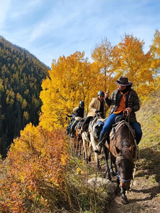 南疆秋季7日游经典路线：胡杨林、沙漠公路、喀什全含