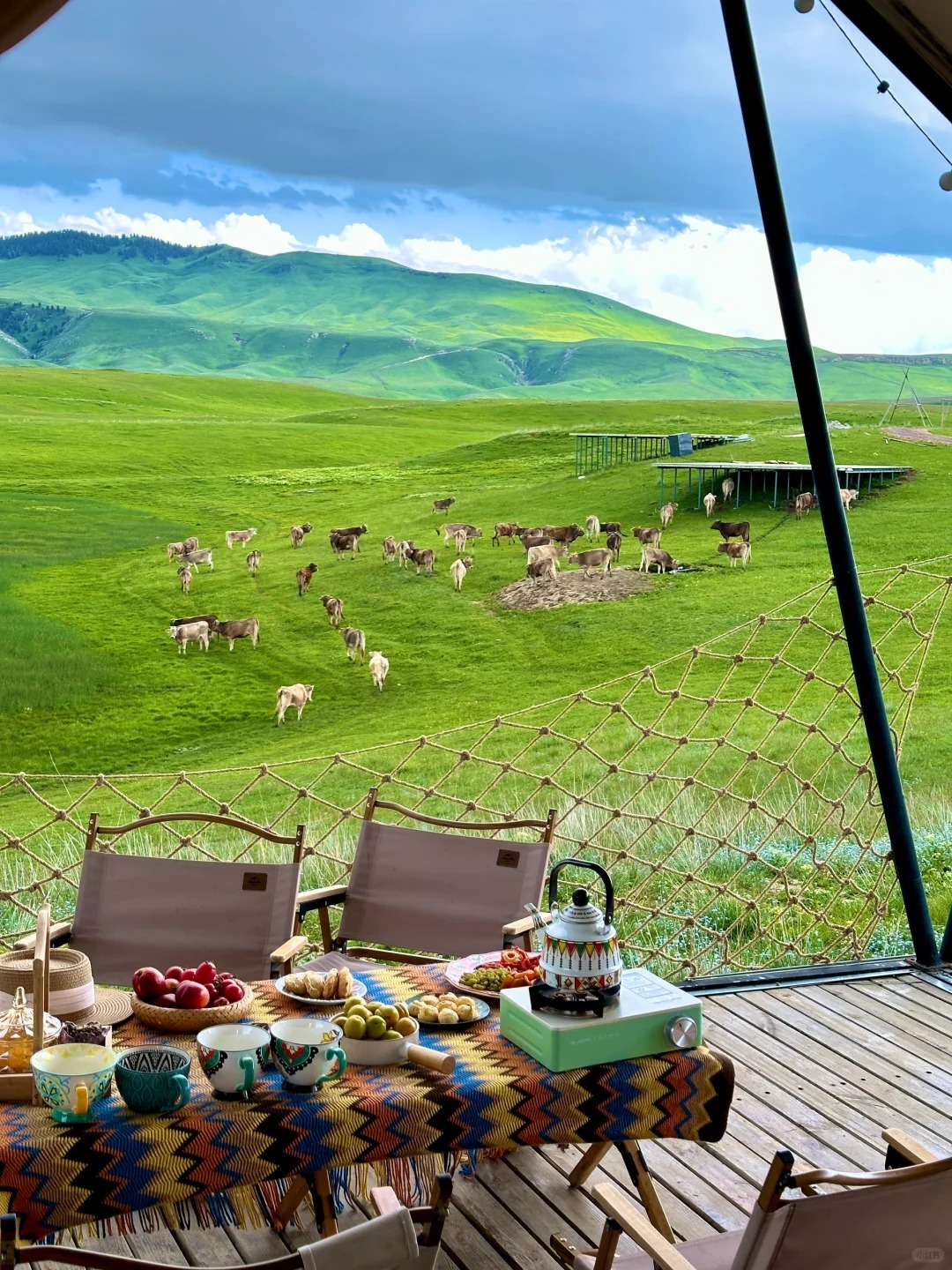 新疆旅游：北疆好还是南疆好？全方位对比与选择指南