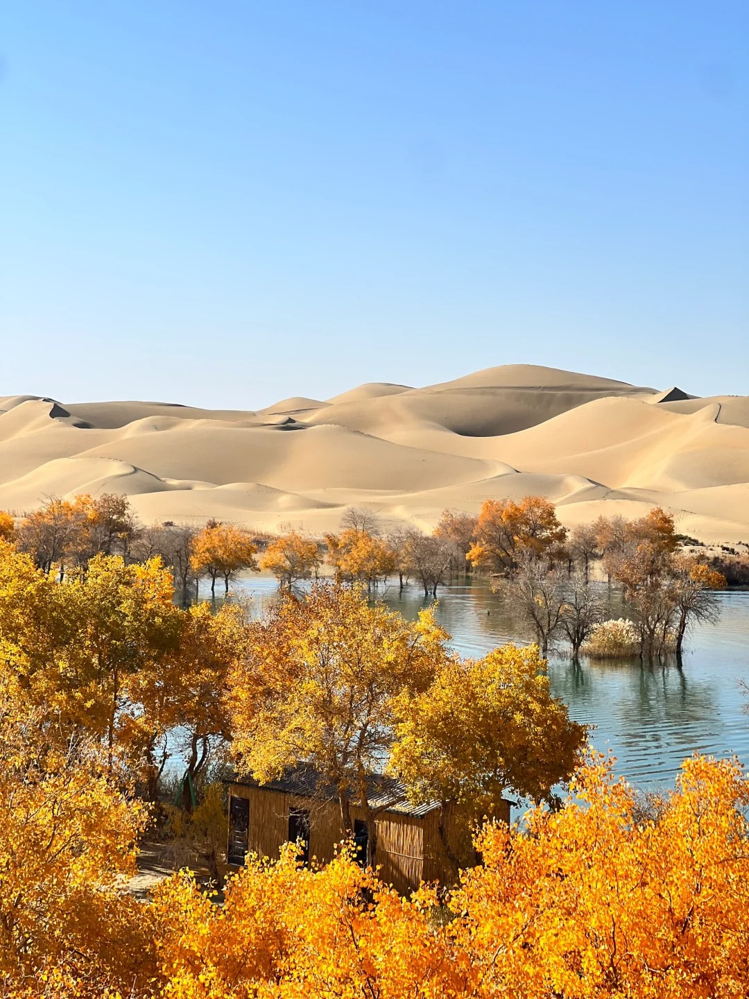 新疆十月天气温度多少度？北疆南疆穿衣旅行全指南