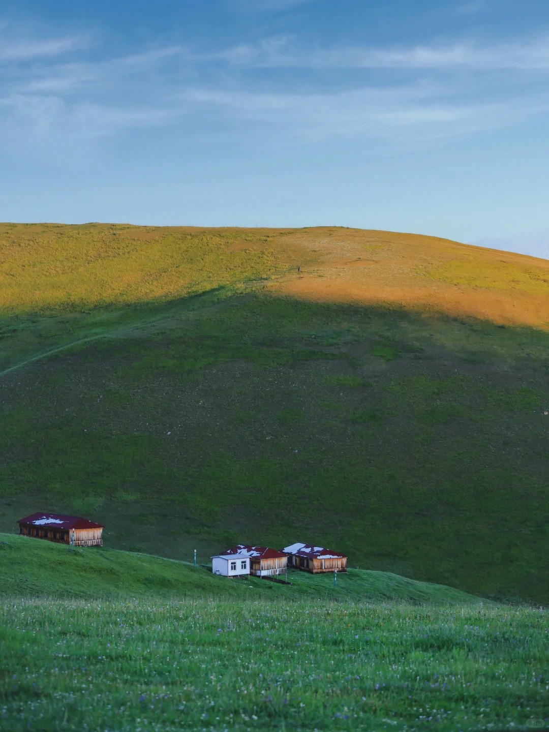 新疆旅游大团多少钱？最新价格表及线路全解析