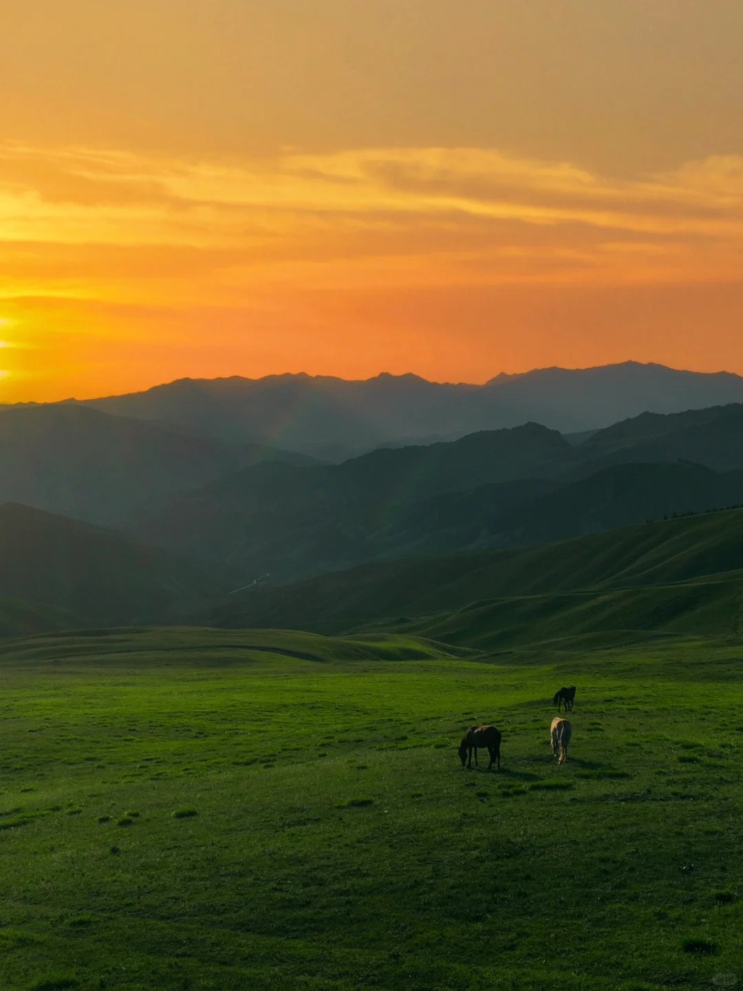 去新疆玩7天要花多少钱？2025自由行/拼车/跟团三种方案花费全揭秘