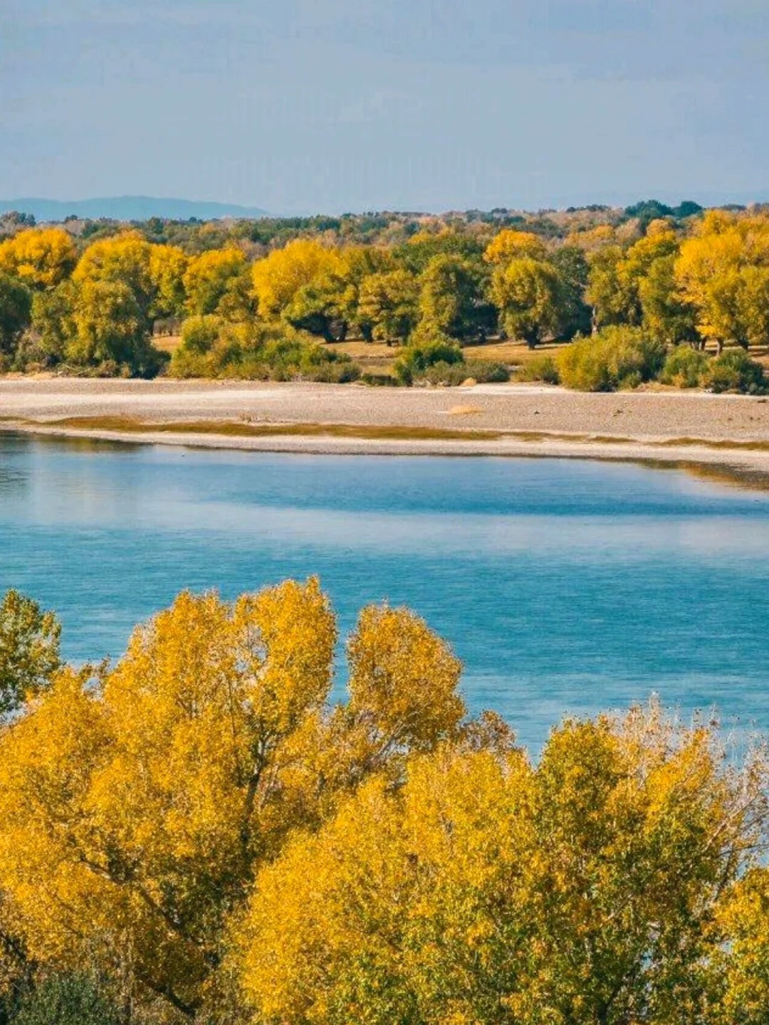 新疆旅游秋季全攻略：北疆南疆东疆经典线路推荐与深度体验指南