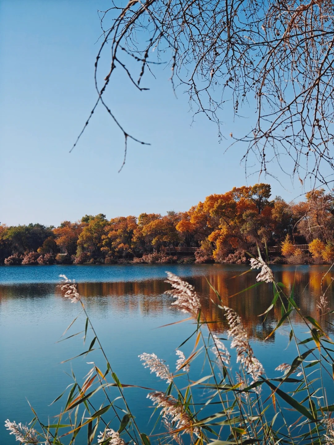 禾木秋季怎么玩 | 禾木景点路线、禾木文化体验、禾木拍摄秘籍