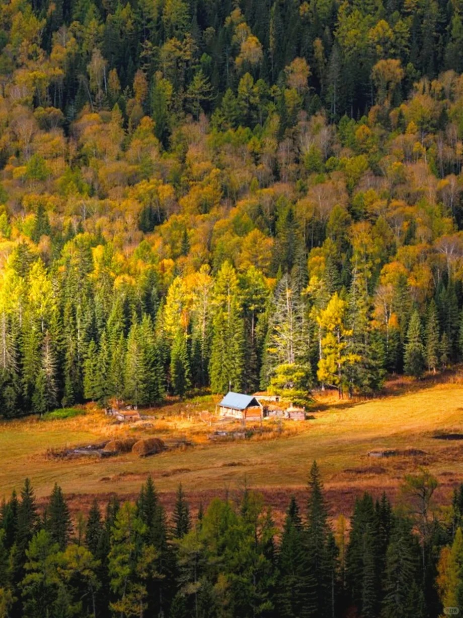 北疆vs南疆的秋天：哪条路线更适合你？新疆秋游终极选择指南