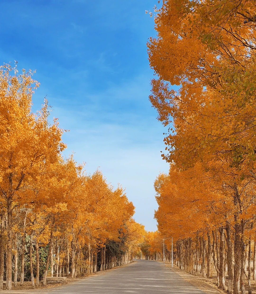 新疆国庆节旅游人多吗？2025年超全攻略（含避坑指南）