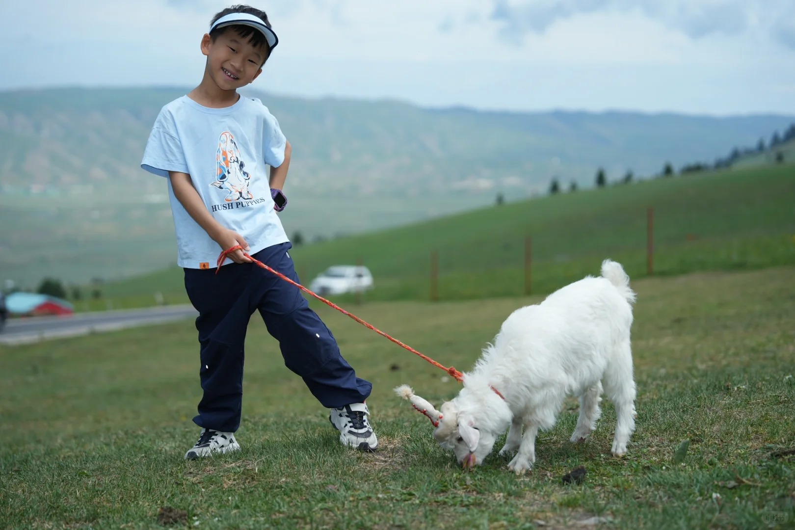 新疆赛里木湖秋季深度旅行攻略：全景指南 | 蓝湖、金草、星空全体验