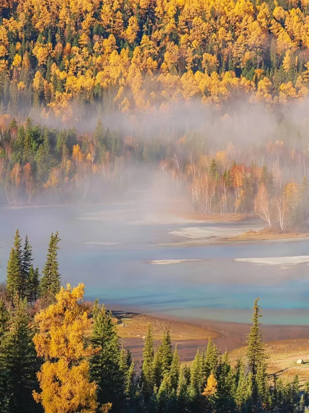 喀纳斯10月旅游攻略 | 终极指南：行程/住宿/摄影一篇就够