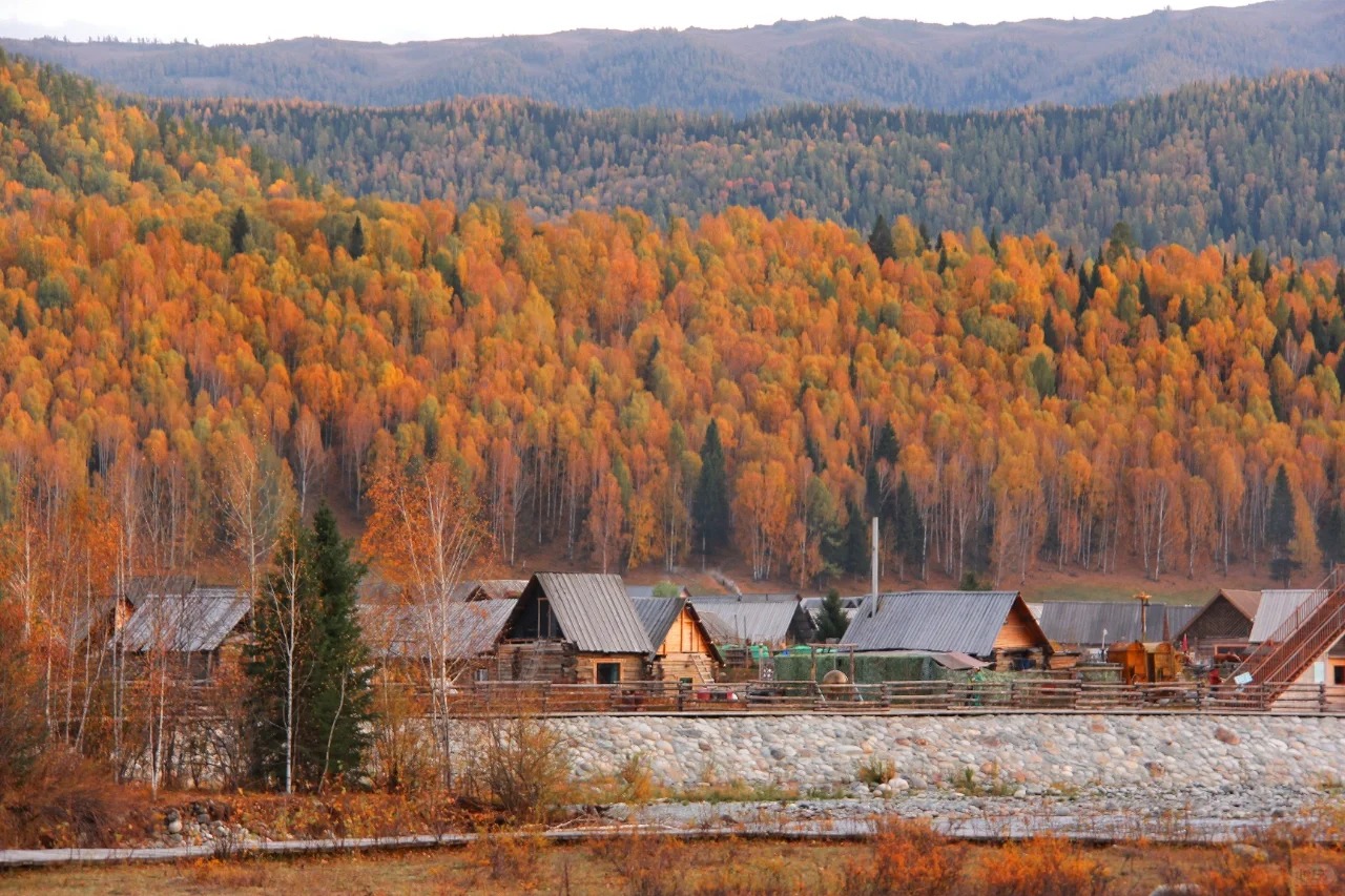 新疆秋季去南疆还是北疆？从胡杨沙漠到彩林湖泊的抉择指南