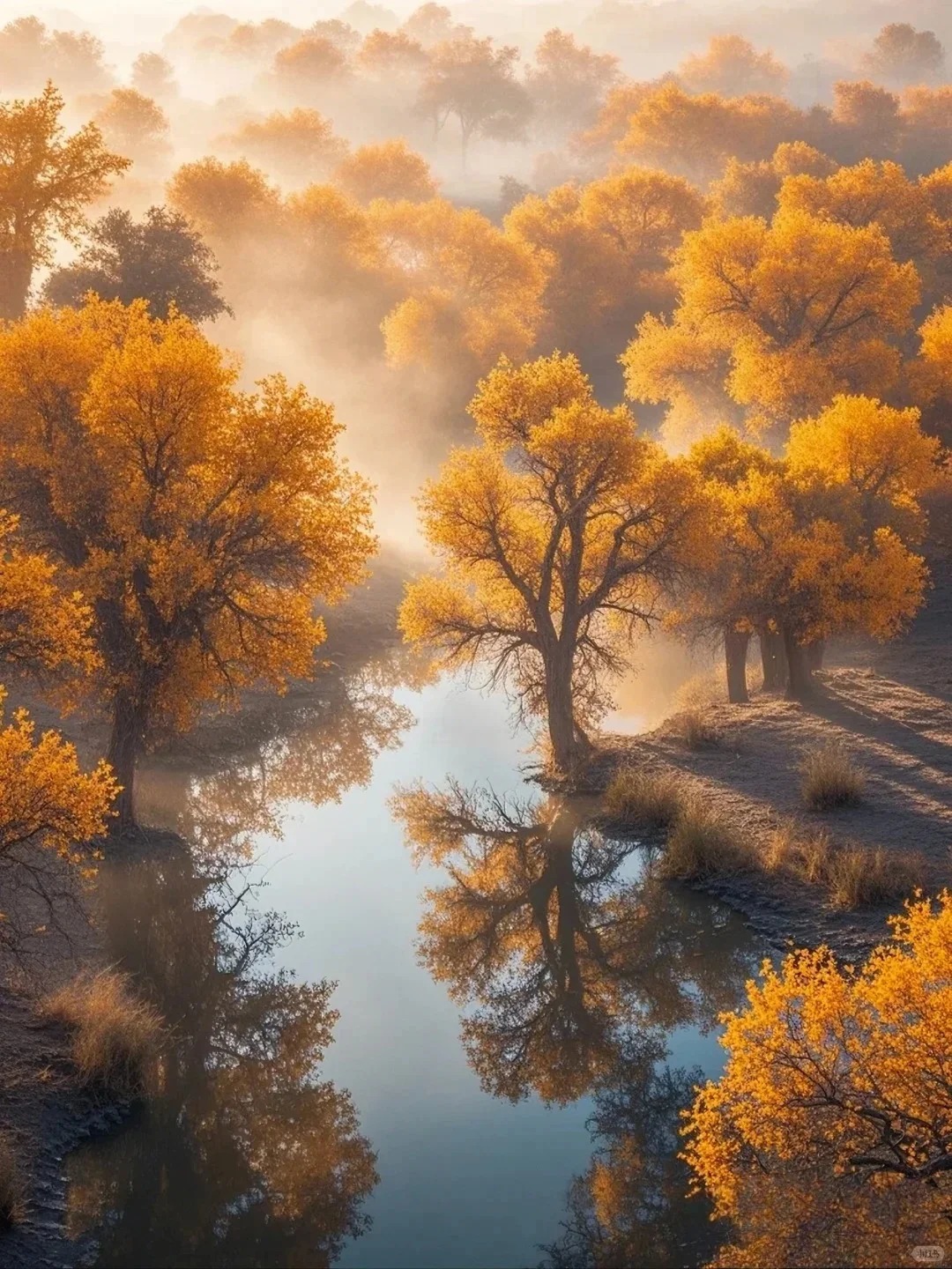 十月去阿勒泰旅游合适吗？超全秋景攻略、天气及行程规划指南