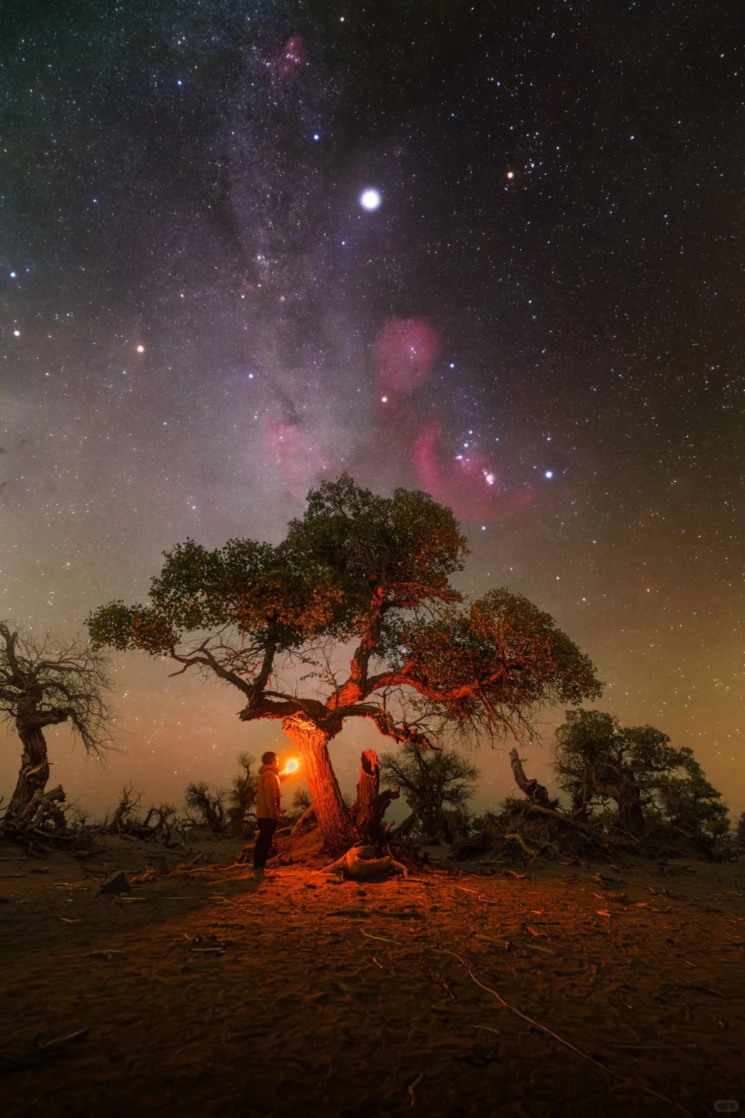 新疆旅行社官网- 新疆排名第一旅行社，专业新疆旅游定制专家