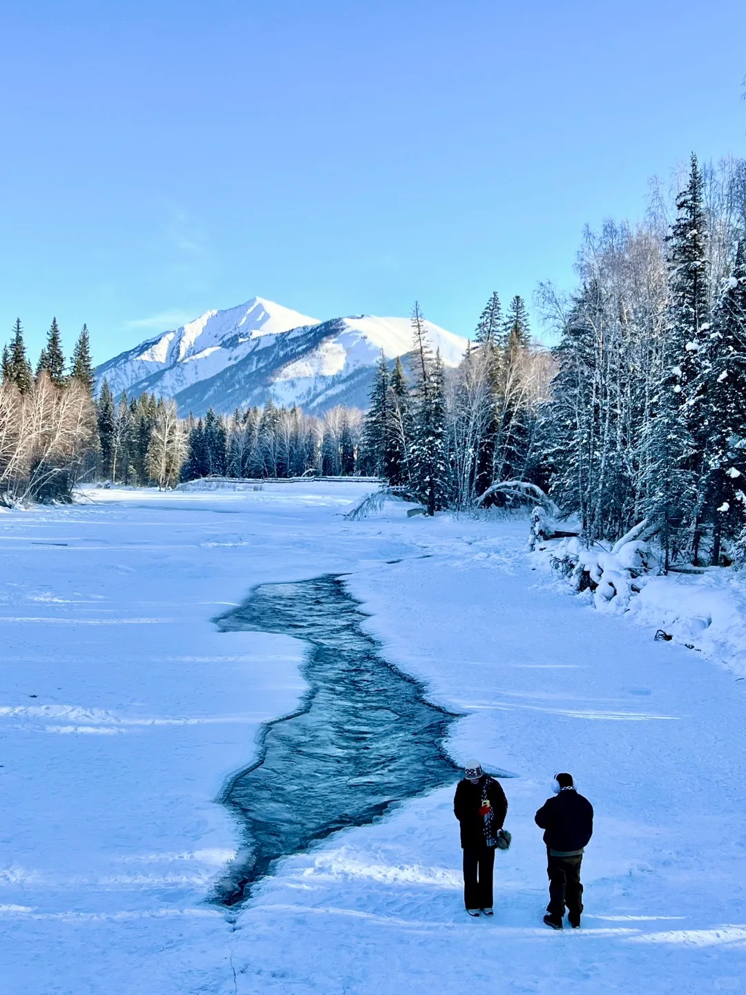 新疆阿勒泰冬季旅游攻略：邂逅中国最美雪域童话