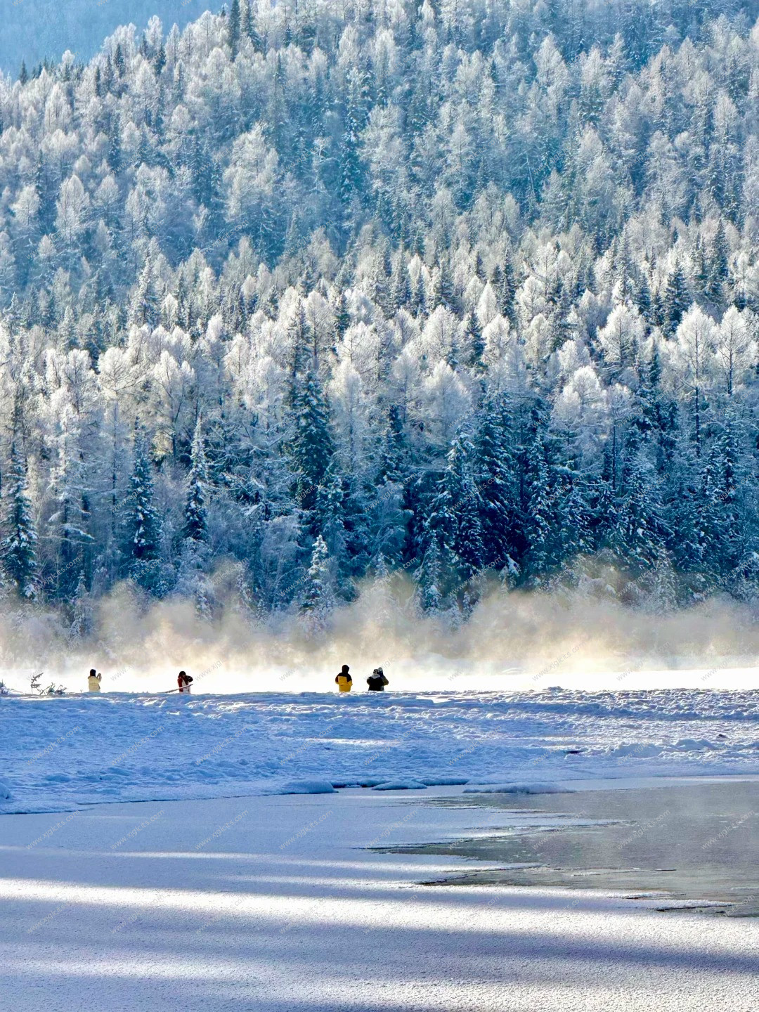 新疆旅行社哪家比较靠谱？推荐这三家本地社