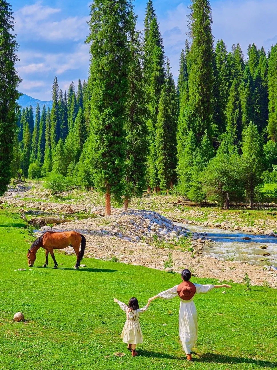 香港人能到新疆旅游吗？