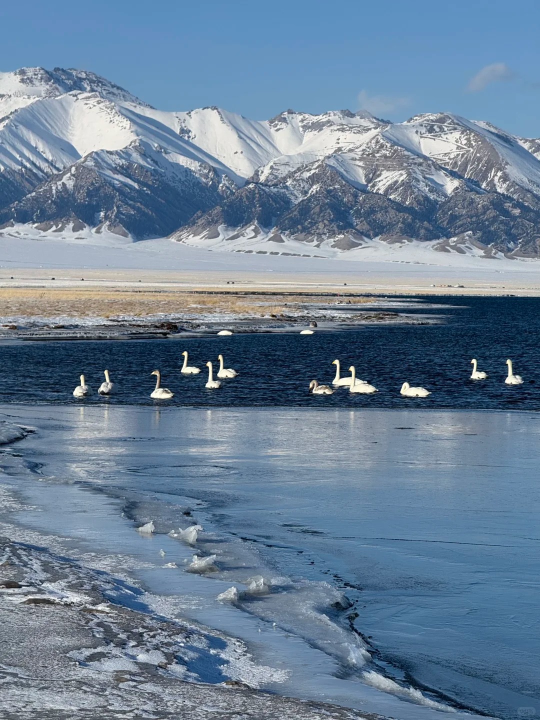 新疆冬季玩雪5天4晚深度攻略 | 预算路线全解析（禾木+喀纳斯）