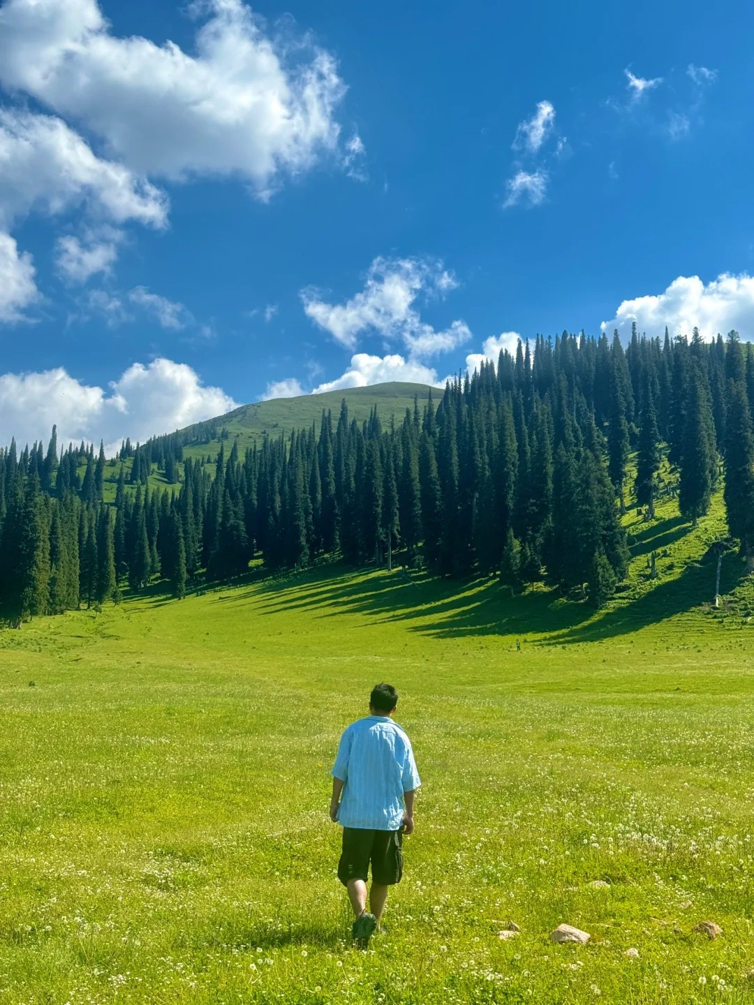 海外华人能否到新疆旅游？深度解析与全攻略