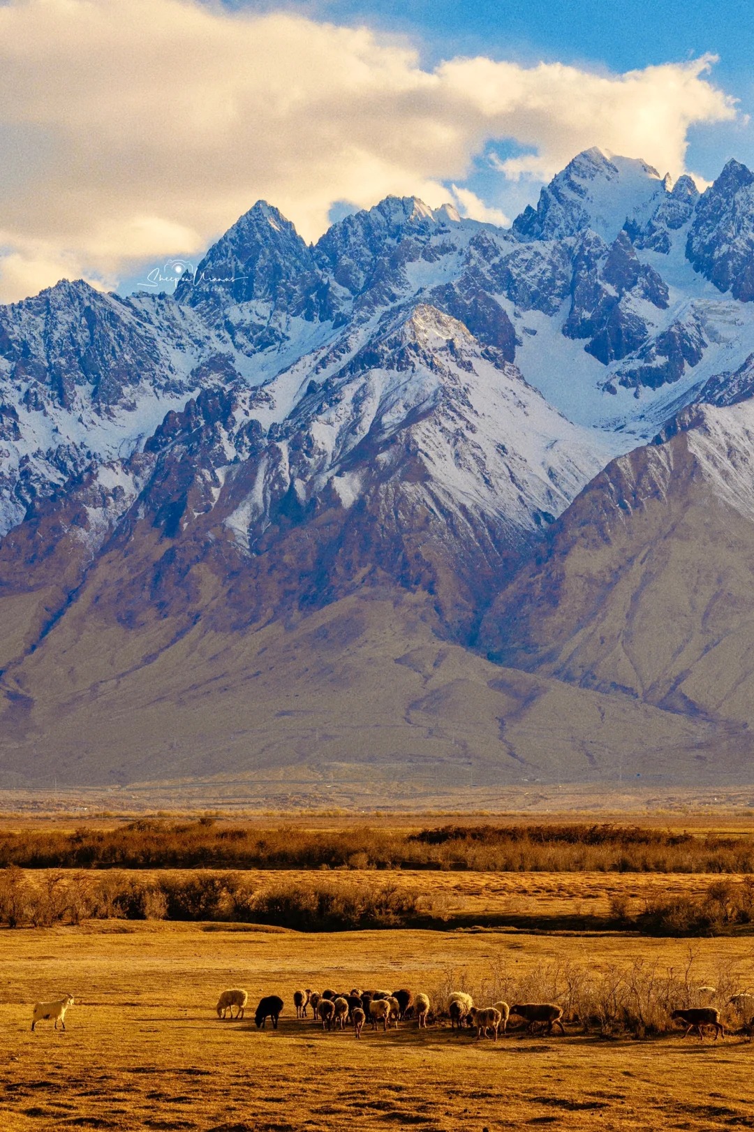 【官方】新疆国际旅行社官网入口，新疆旅游优势与服务全解析