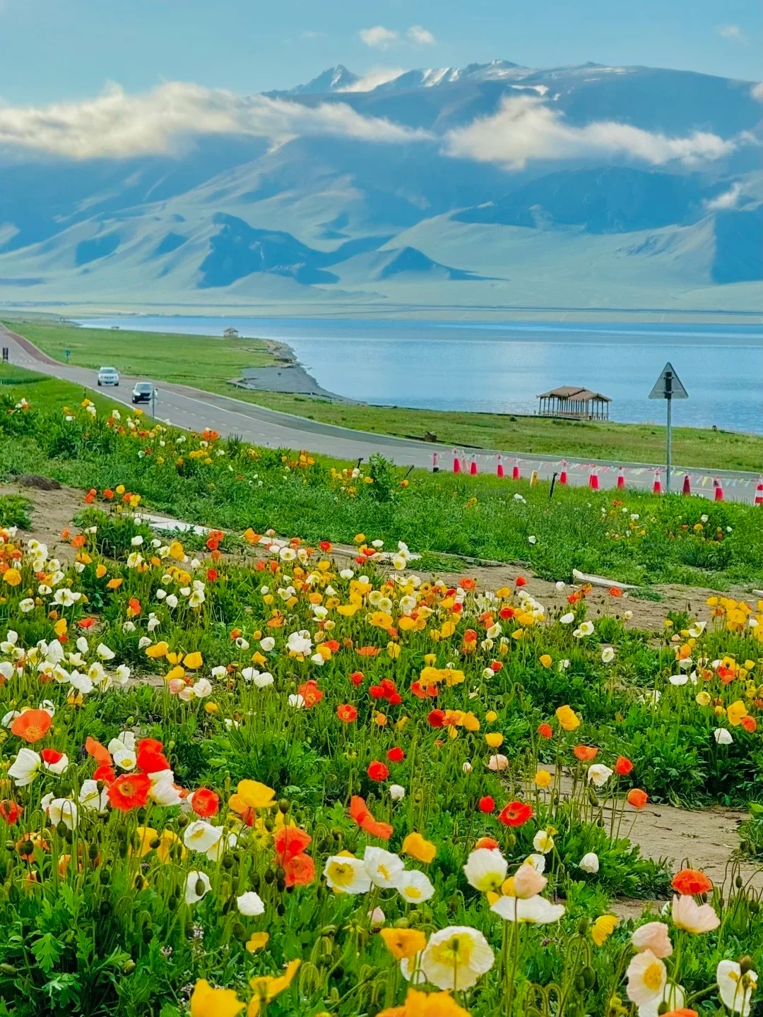 新疆春季旅游路线：4月杏花+5月草原，北疆南疆深度游