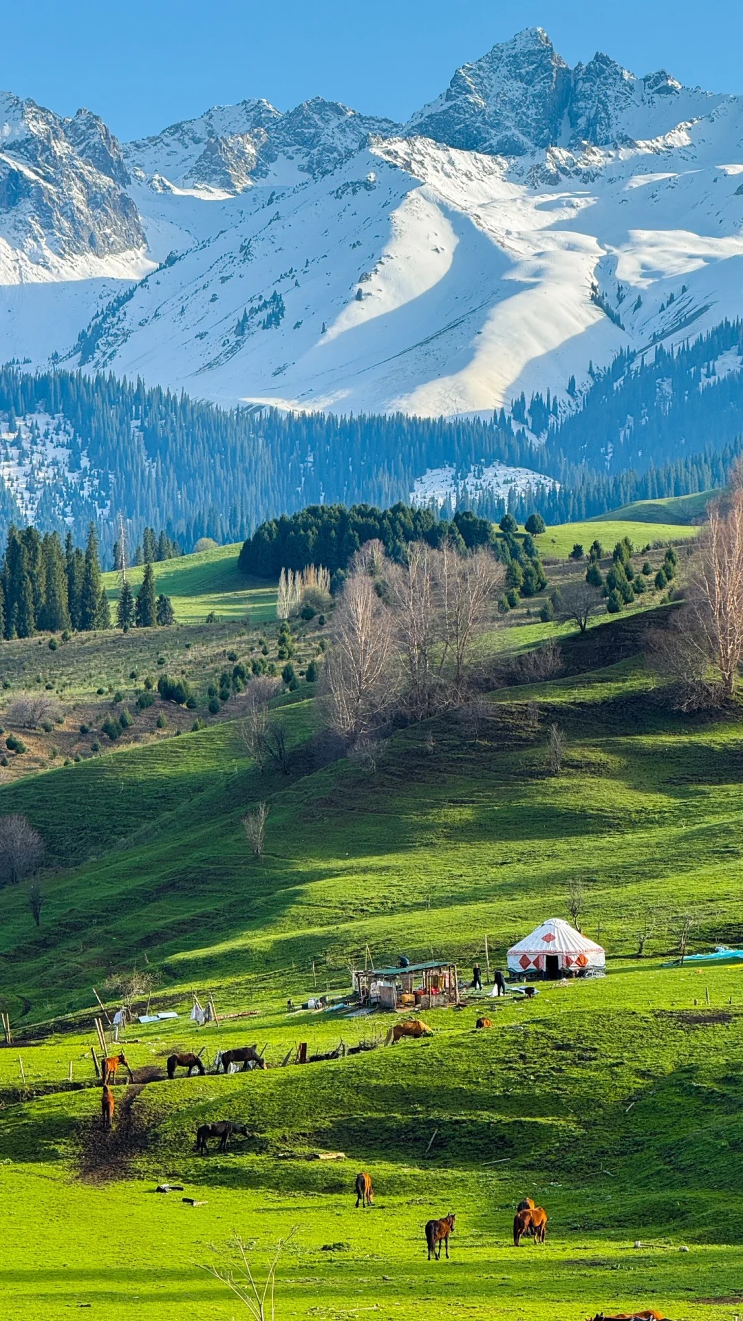 新疆哪家旅行社好？前三名综合对比，重点解读新疆国旅七大优势