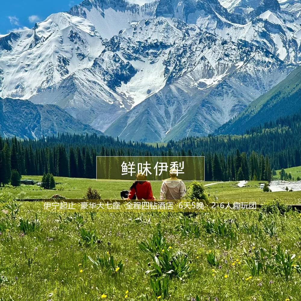 【鲜味伊犁 · 6日轻奢版】