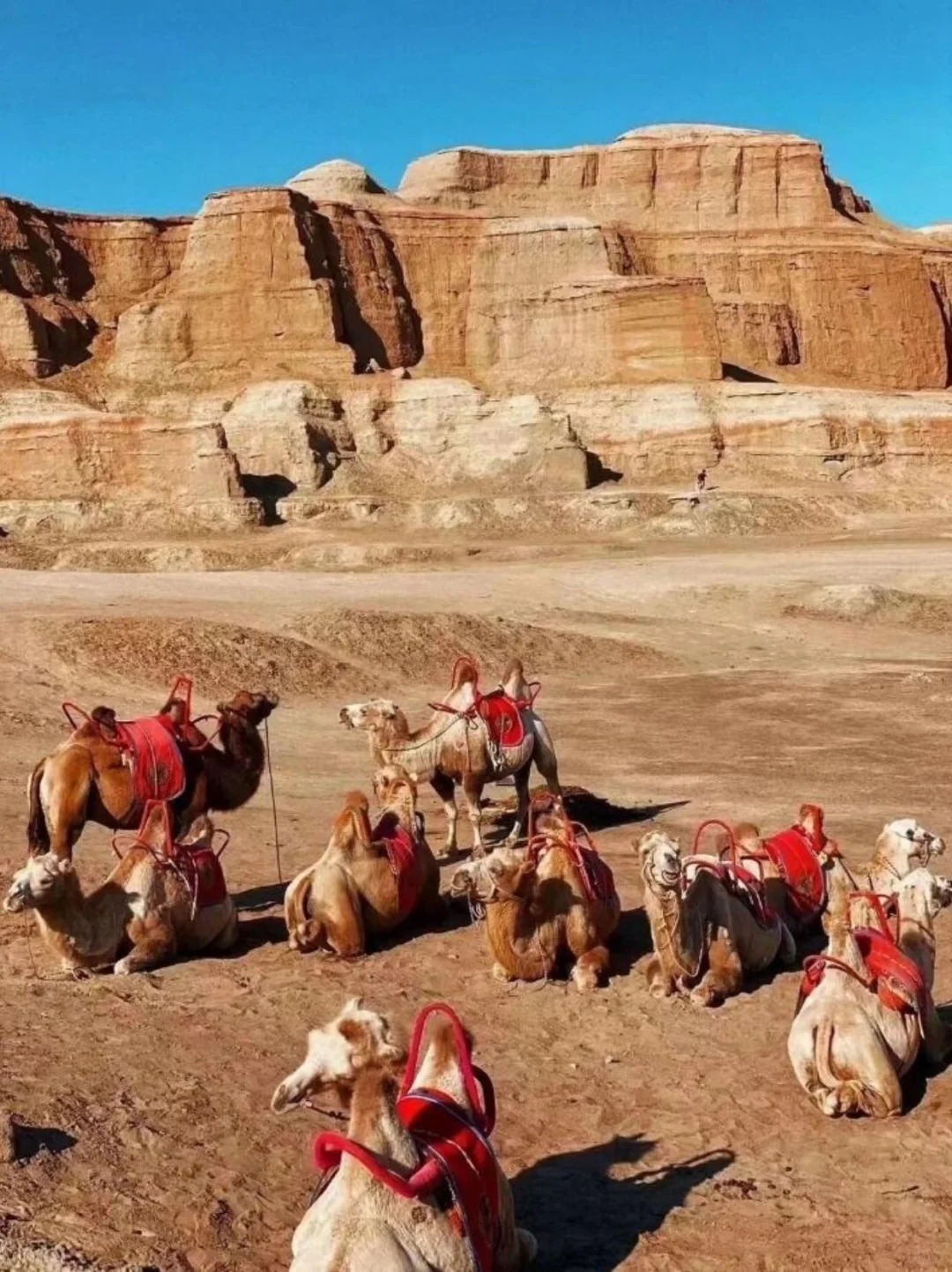 2026旅游新疆攻略｜旅游新疆超全指南