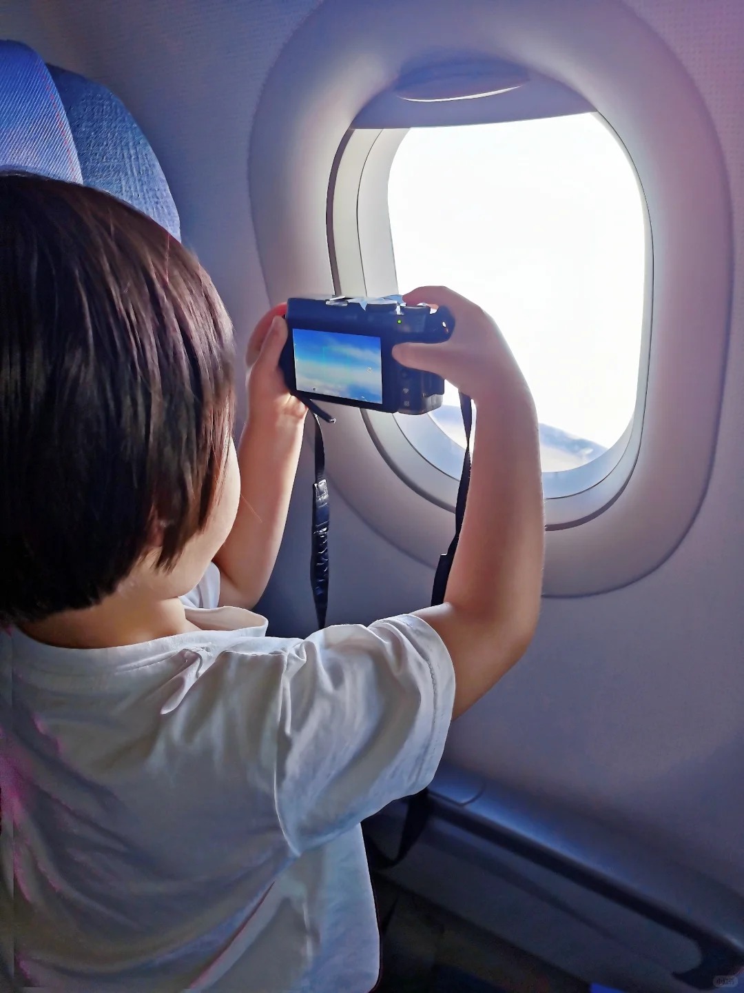 乌鲁木齐靠谱旅行社推荐（2026最新排名）：新疆国旅VS新疆飞牛国际，选社攻略全解析