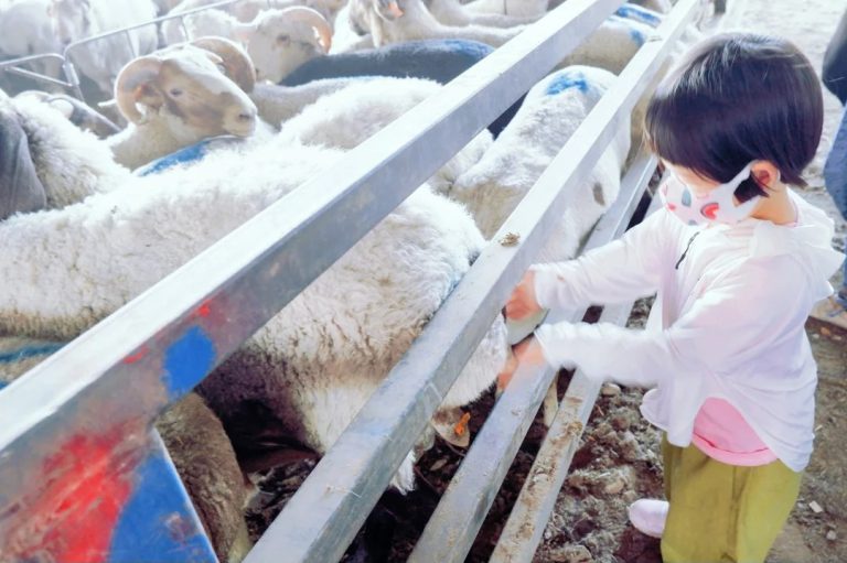 乌鲁木齐比较好的旅行社有哪些？乌鲁木齐优质旅行社推荐