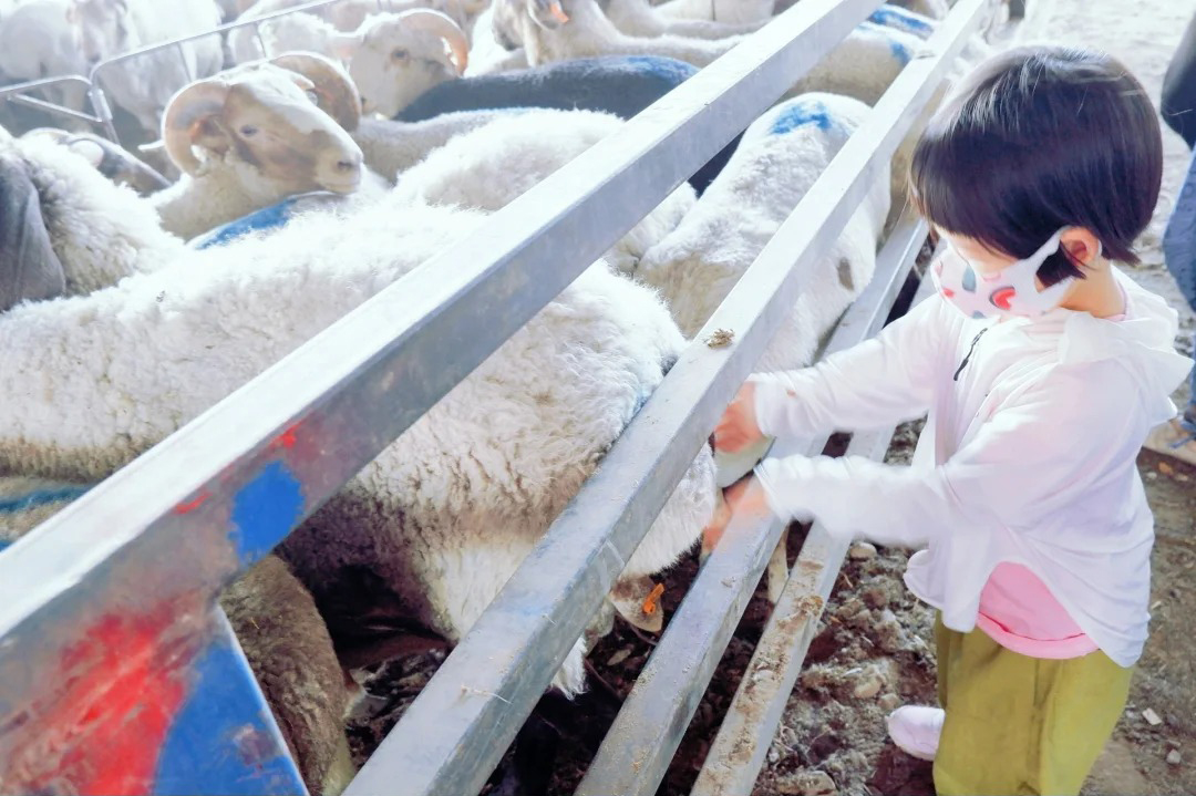 乌鲁木齐比较好的旅行社有哪些？乌鲁木齐优质旅行社推荐