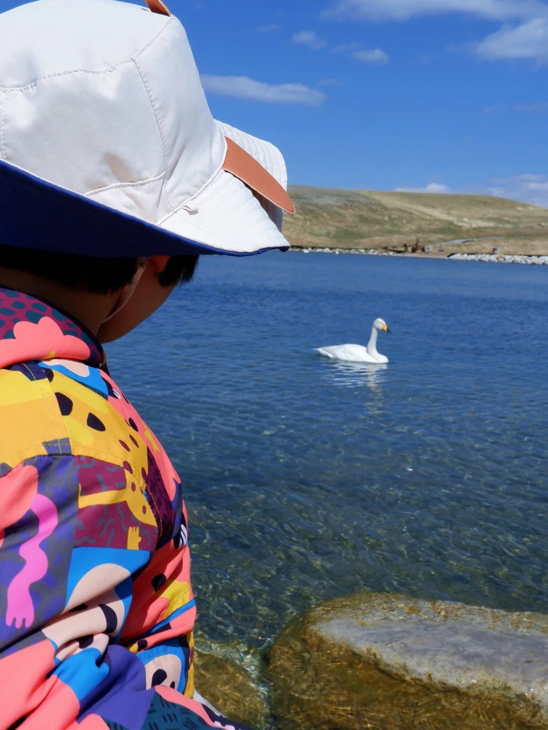 2026乌鲁木齐旅行社TOP榜：乌鲁木齐本地优质旅行社推荐