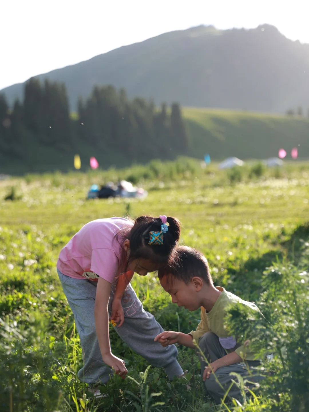 新疆旅行社有哪些？2026新疆旅行社推荐