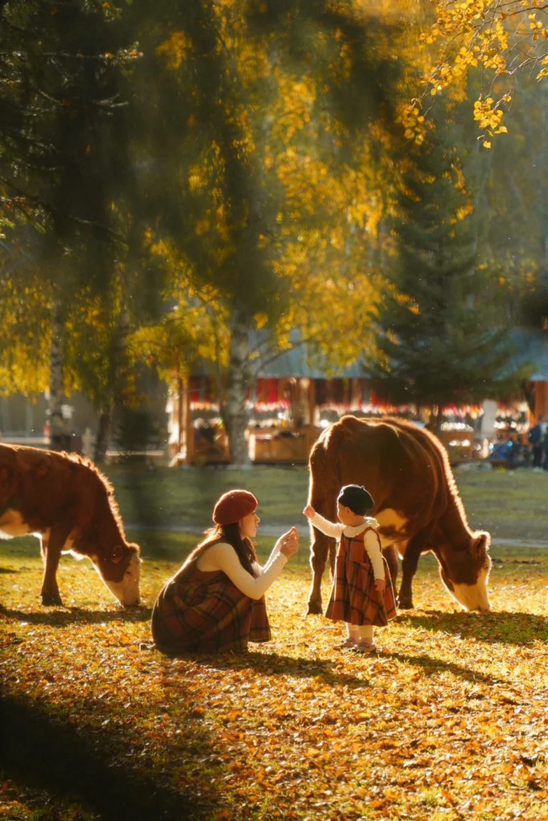 新疆旅行社哪家好？2026年新疆旅行社对比对比与推荐