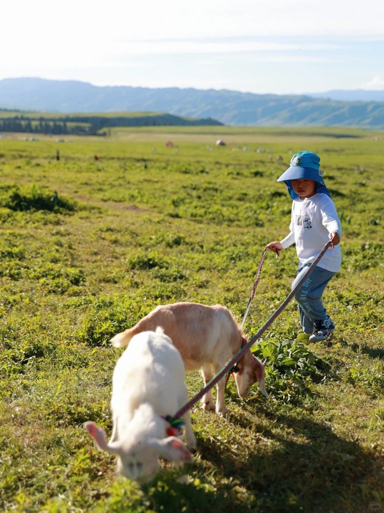 新疆五一人多吗？2026年真实人流分析与避峰出行攻略