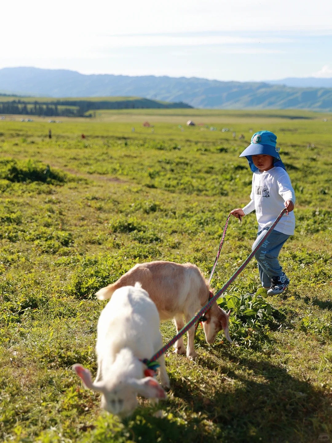 新疆五一人多吗？2026年真实人流分析与避峰出行攻略