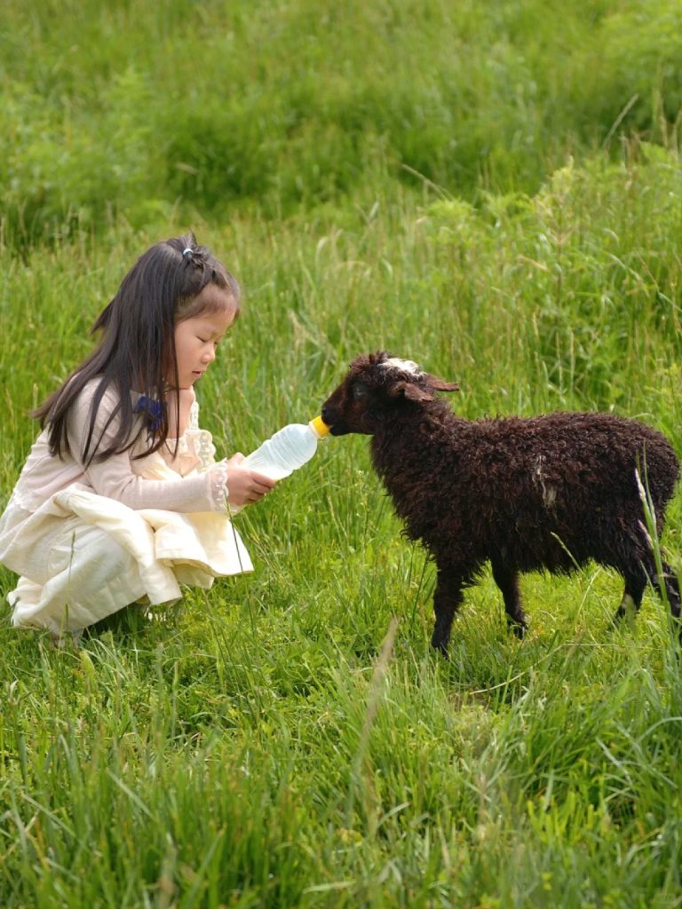 新疆8月值得去吗？8月新疆旅游攻略：气候、绝美景观与旺季出行指南