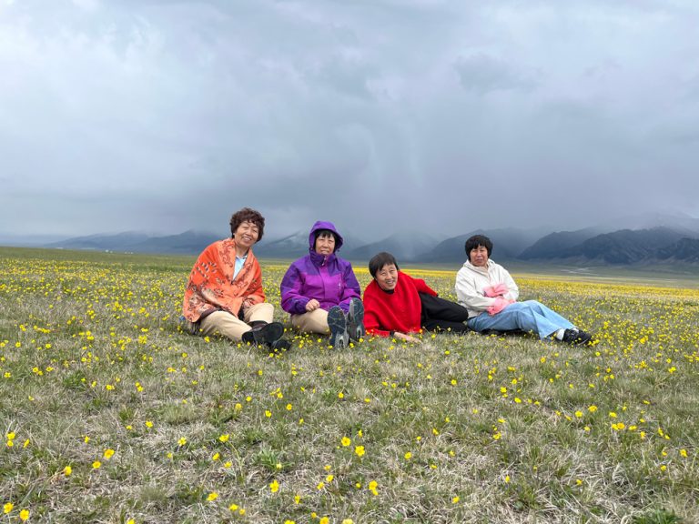 新疆旅行社排行前五：国企标杆+零投诉口碑，跟团游选哪家？