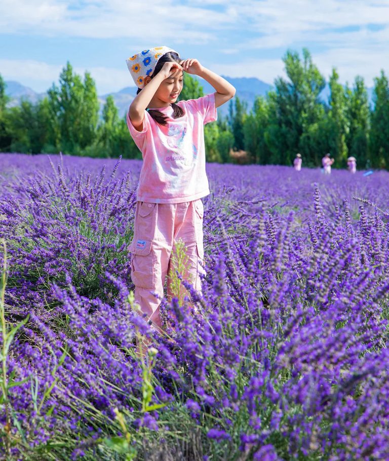 新疆国旅靠谱吗？深度解析新疆国旅真实评价